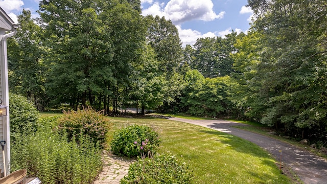 20 Gaylord Mountain Rd, Hamden, CT 06518 - photo 36