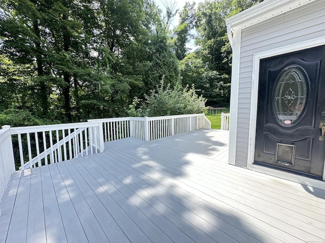 42 Taagan Point Rd, Danbury, CT 06811 - photo 37