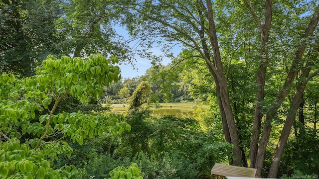 10 Twin Ledge Rd Unit 10, Norwalk, CT 06854 - photo 39