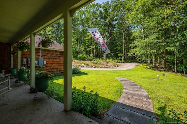 126 Behrens Rd, New Hartford, CT 06057 - photo 4