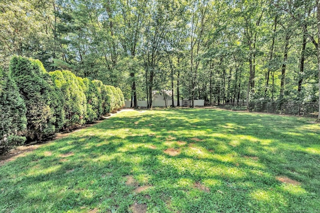 43 Lena Ave, Plainville, CT 06062 - photo 33