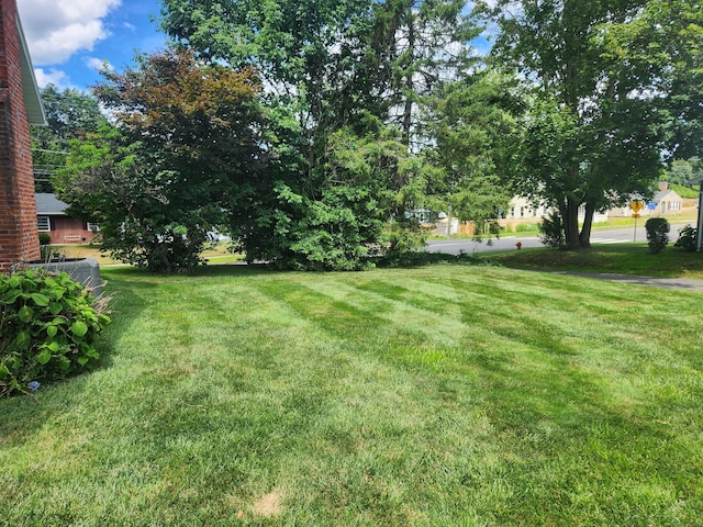 603 New Britain Ave, Newington, CT 06111 - photo 31