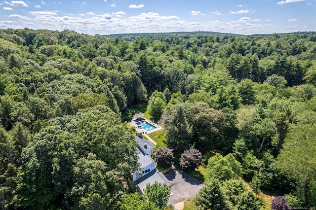 136 Shoddy Mill Rd, Glastonbury, CT 06033 - photo 6