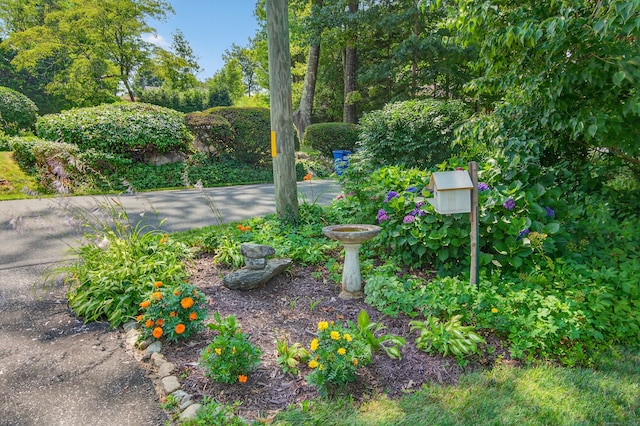 2 Meadow Ln, New Milford, CT 06776 - photo 6