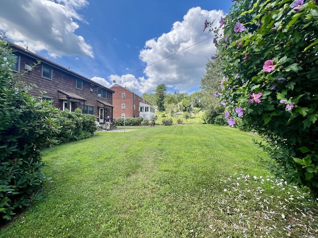 15 Elton St, New Britain, CT 06053 - photo 6