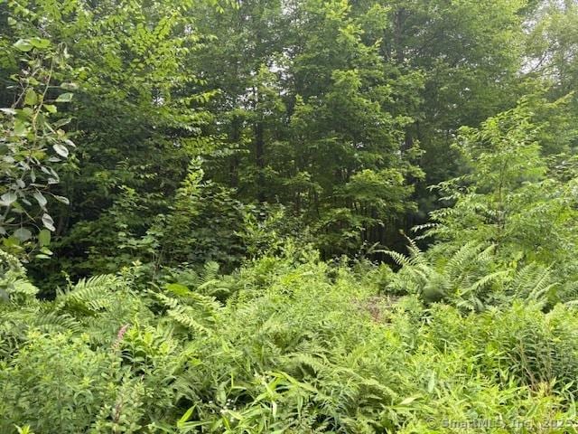 1040 Main St, Somers, CT 06071 - photo 1