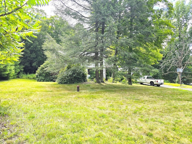 50 Woodhaven Dr, Burlington, CT 06013 - photo 28
