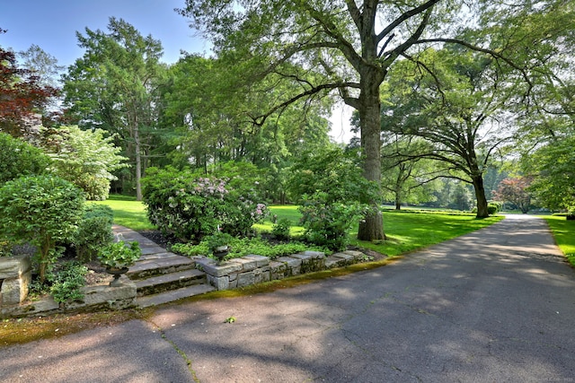 4 Brook Rd, Woodbridge, CT 06525 - photo 3