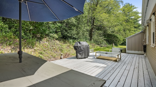 426 Torrington Rd, Litchfield, CT 06759 - photo 35