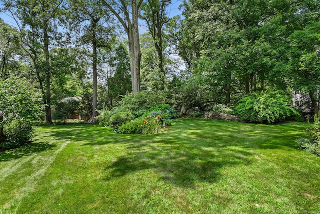 326 Mill Rd, Stamford, CT 06903 - photo 6