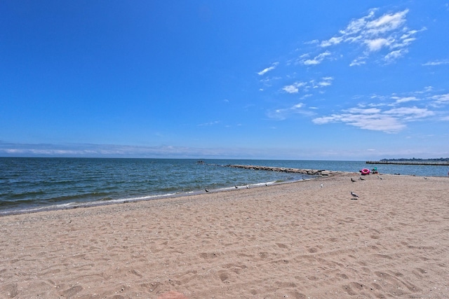 22 W Walk Walk Unit 22, West Haven, CT 06516 - photo 4