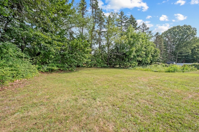 18 Grove Rd, Cromwell, CT 06416 - photo 39