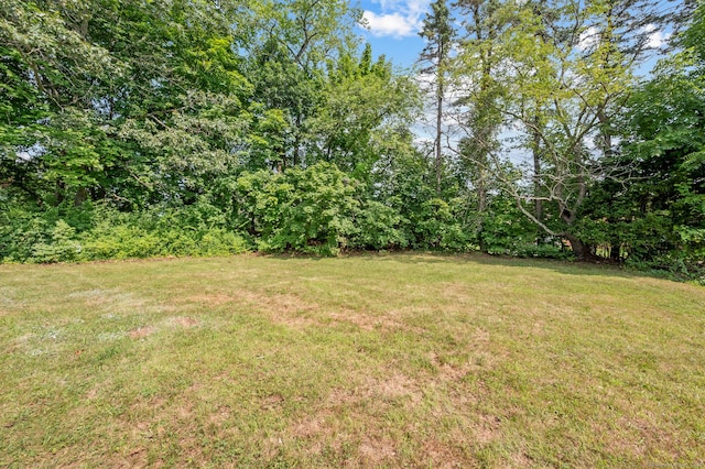 18 Grove Rd, Cromwell, CT 06416 - photo 40