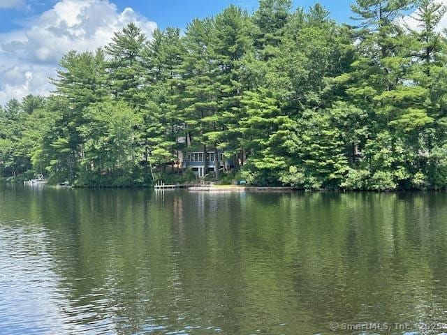 31 Green Is, Thompson, CT 06277 - photo 2