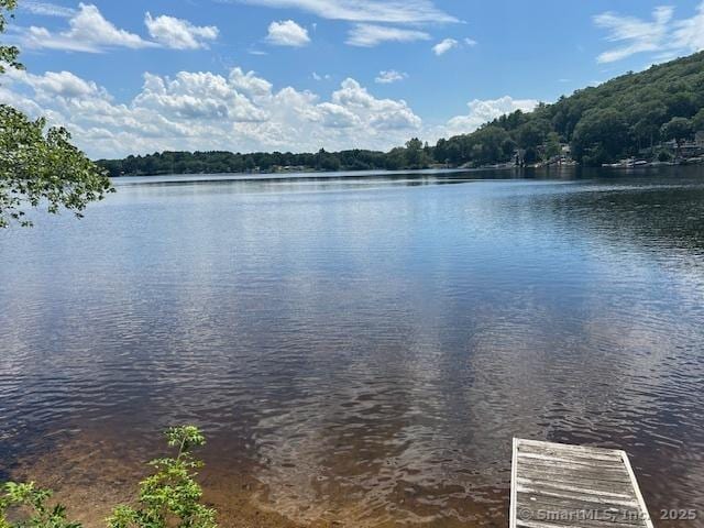 31 Green Is, Thompson, CT 06277 - photo 16
