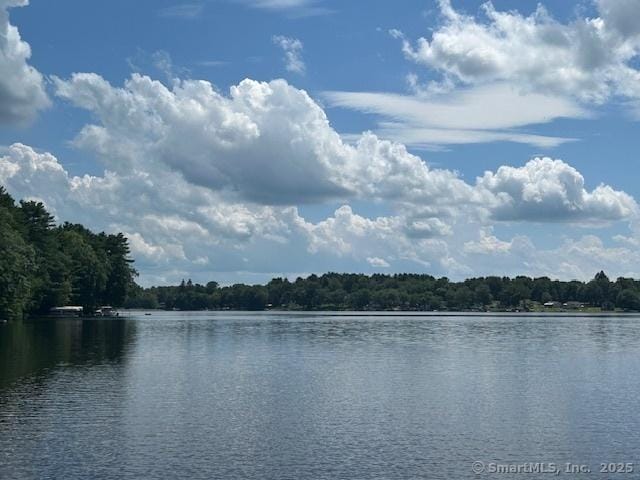 31 Green Is, Thompson, CT 06277 - photo 21