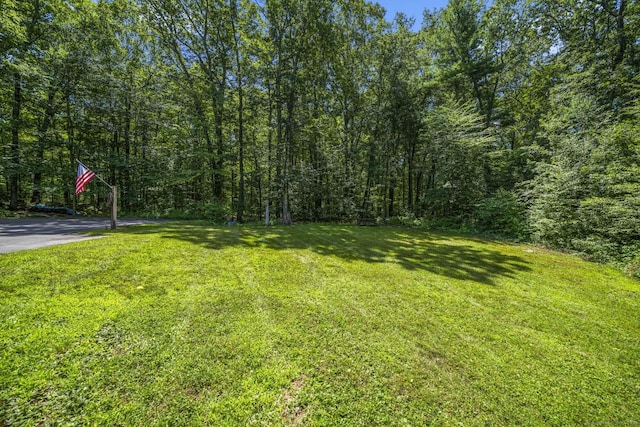 12 Spusta Rd, Stafford, CT 06076 - photo 28