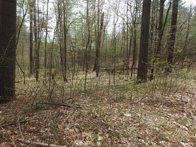 730 Clayton Rd, Sheffield, MA 01257 - photo 2