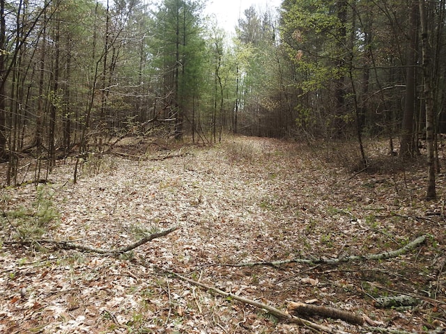 730 Clayton Rd, Sheffield, MA 01257 - photo 3