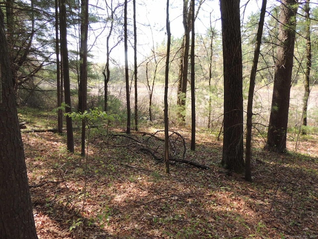 730 Clayton Rd, Sheffield, MA 01257 - photo 4
