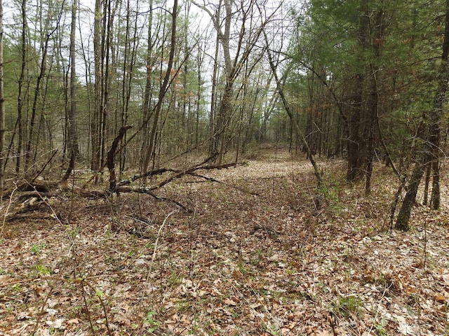 730 Clayton Rd, Sheffield, MA 01257 - photo 5