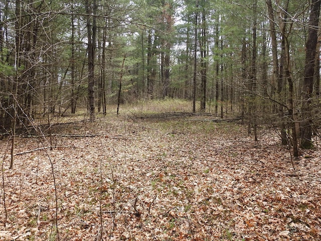 730 Clayton Rd, Sheffield, MA 01257 - photo 7