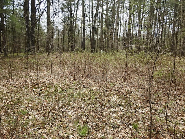 730 Clayton Rd, Sheffield, MA 01257 - photo 8