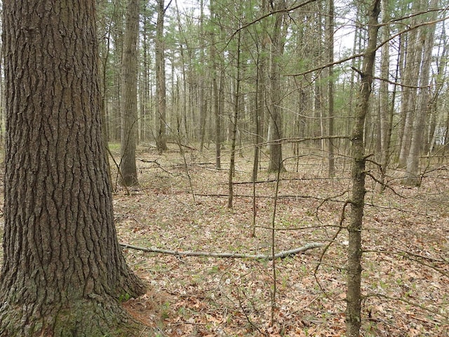 730 Clayton Rd, Sheffield, MA 01257 - photo 9