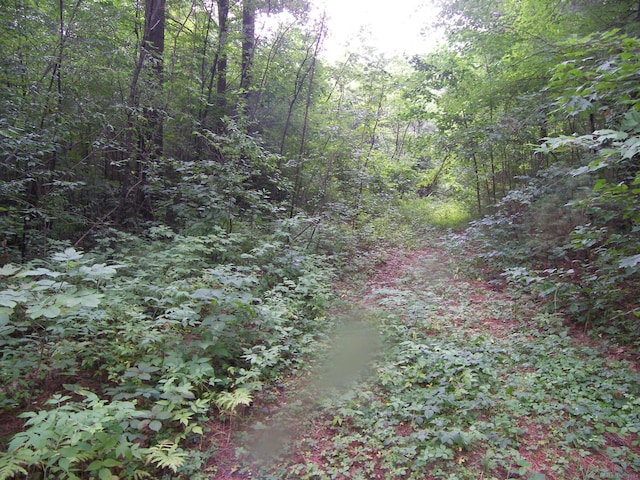 730 Clayton Rd, Sheffield, MA 01257 - photo 10