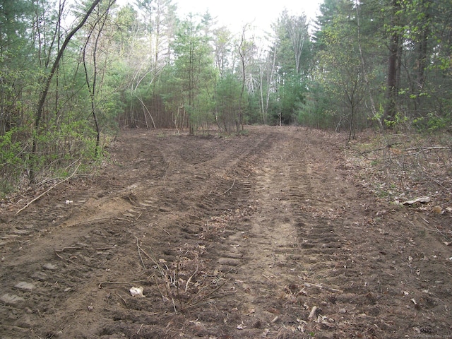 730 Clayton Rd, Sheffield, MA 01257 - photo 12