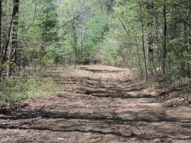730 Clayton Rd, Sheffield, MA 01257 - photo 18