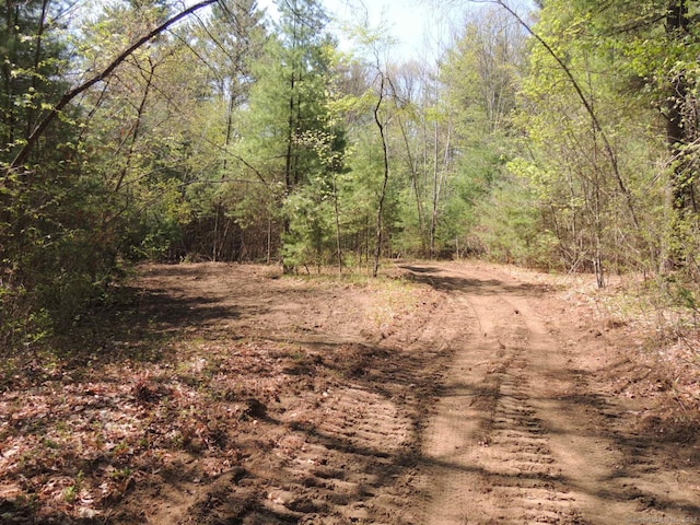 730 Clayton Rd, Sheffield, MA 01257 - photo 19