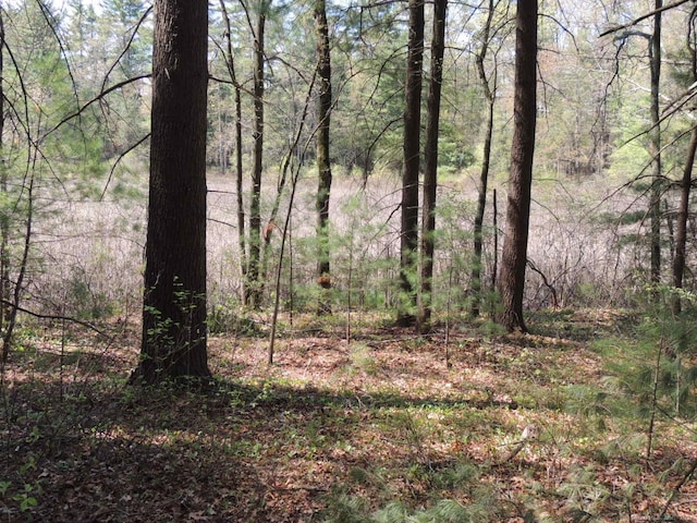 730 Clayton Rd, Sheffield, MA 01257 - photo 20