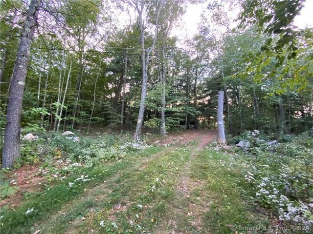 19 Potter Rd, Stafford, CT 06076 - photo 1