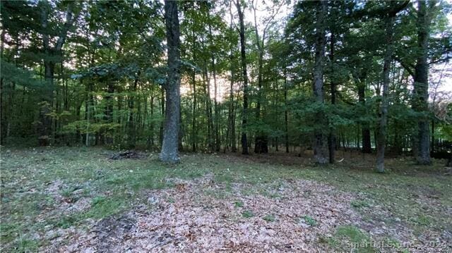19 Potter Rd, Stafford, CT 06076 - photo 3