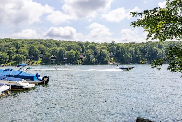 29 Candlewood Cmn, New Milford, CT 06776 - photo 2