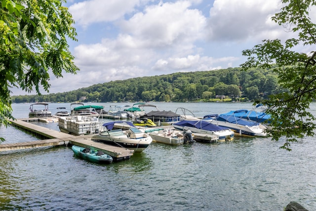 29 Candlewood Cmn, New Milford, CT 06776 - photo 3