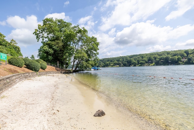 29 Candlewood Cmn, New Milford, CT 06776 - photo 4