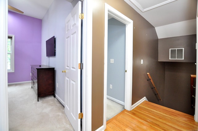 19 Mourning Dove Cir Unit 19, New Haven, CT 06513 - photo 12