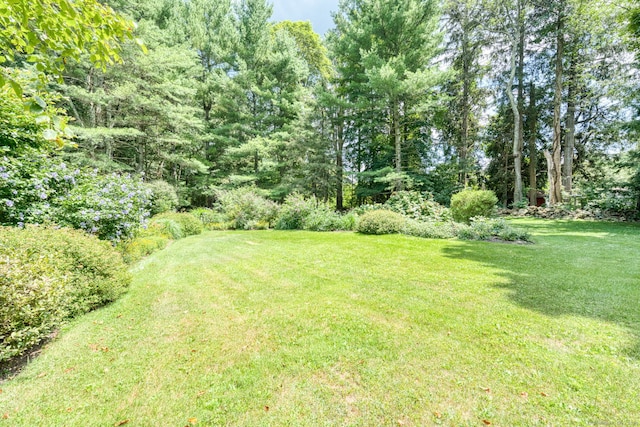 155 Bull Hill Rd, Colchester, CT 06415 - photo 35