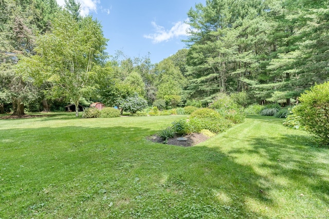 155 Bull Hill Rd, Colchester, CT 06415 - photo 5