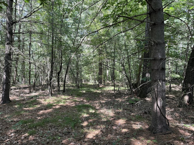 174 Mechanics St, Putnam, CT 06260 - photo 2