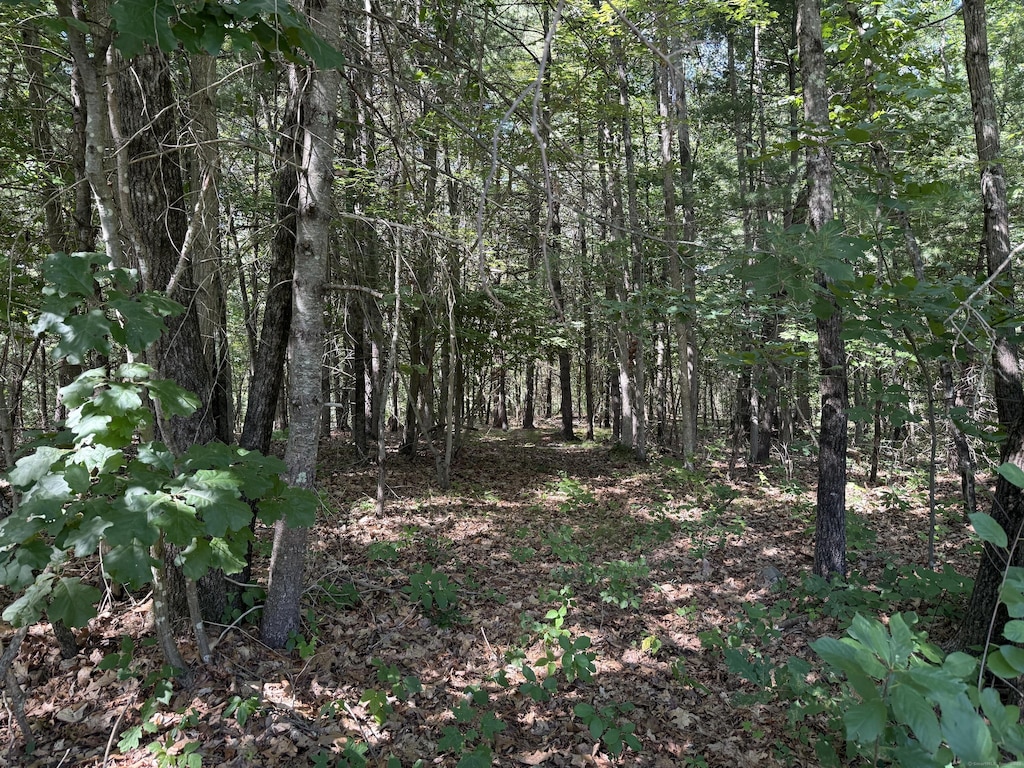 174 Mechanics St, Putnam, CT 06260 - photo 4