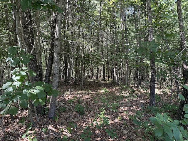 174 Mechanics St, Putnam, CT 06260 - photo 4