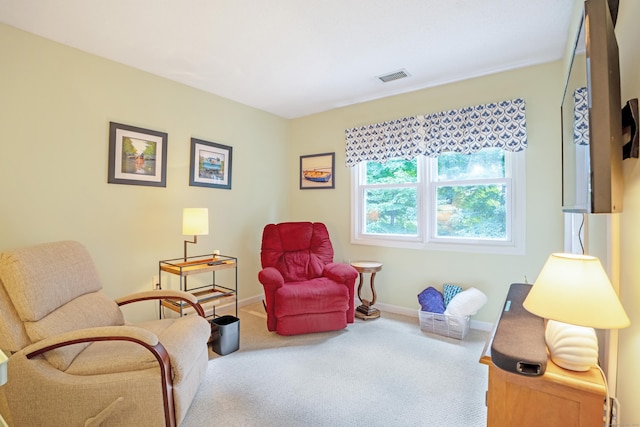 319 Thomaston Rd Unit 33, Watertown, CT 06795 - photo 14