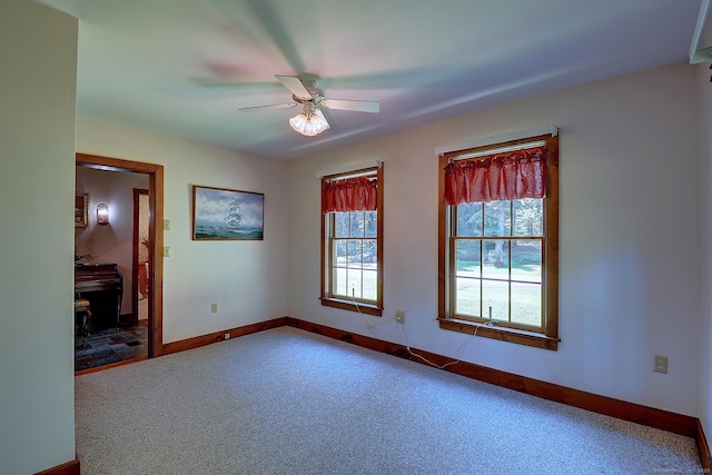 34 Pine Tree Ter, Brooklyn, CT 06234 - photo 30