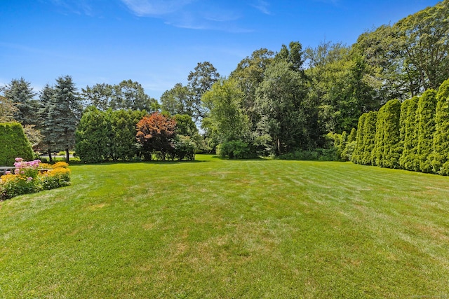 75 Spinners Run, South Windsor, CT 06074 - photo 2