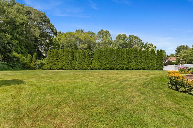 75 Spinners Run, South Windsor, CT 06074 - photo 38
