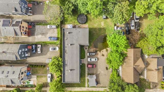 12 Lilac St, New Haven, CT 06511 - photo 15