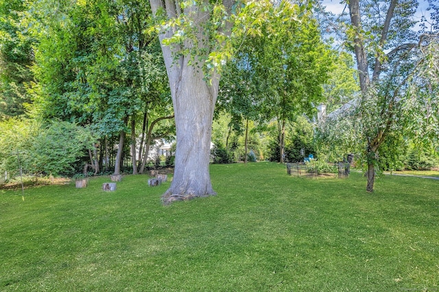 6 Hillandale Mnr, Norwalk, CT 06851 - photo 20